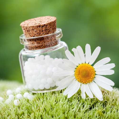 Homeopathy Home Essentials Workshop